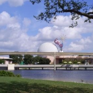 florida_582