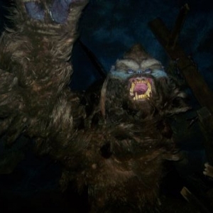 Yeti