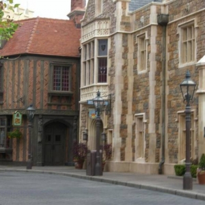 wdw173