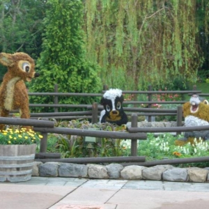 wdw174