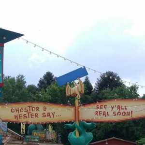 wdw187