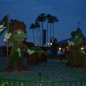wdw192