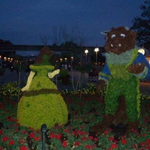 wdw193