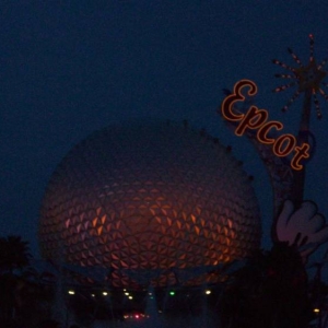wdw194