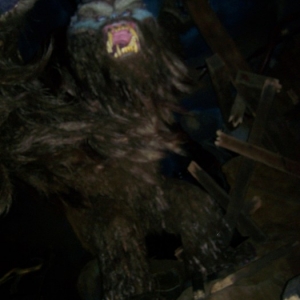 Yeti