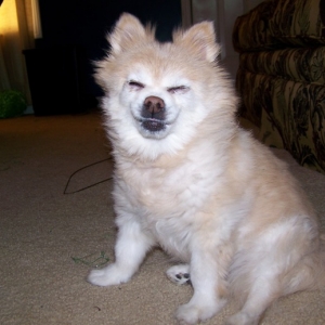 Baby laughing at a witty remark!