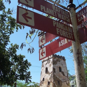 Which way to go . . .