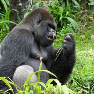 Lunchtime in Pangani