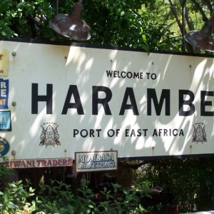 Entering Africa