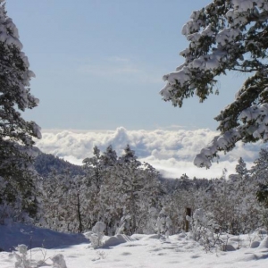 tempinversion
