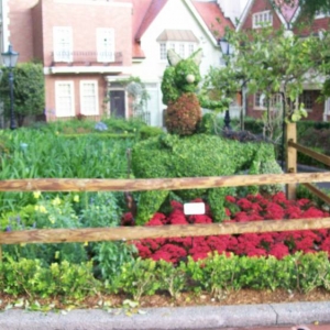 disney045