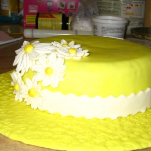 Spring Daisey Hat 2