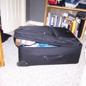 nic_suitcase_1