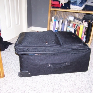 nic_suitcase_2