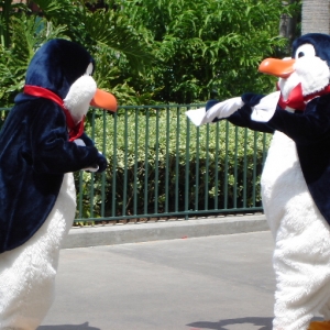 Stars and Motor Cars Parade - Penguins