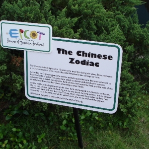 The Chinese Zodiac