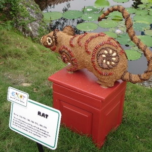 The Chinese Zodiac - Year of the Rat