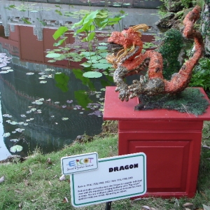The Chinese Zodiac - Year of the Dragon