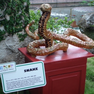 The Chinese Zodiac - Year of the Snake