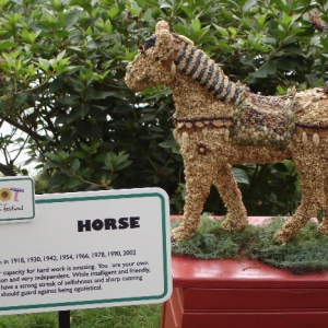 The Chinese Zodiac - Year of the Horse