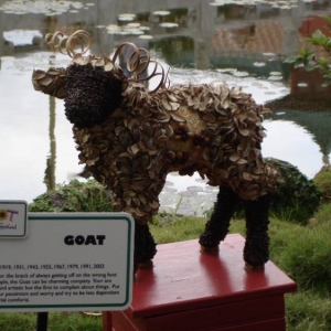 The Chinese Zodiac - Year of the Goat
