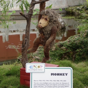 The Chinese Zodiac - Year of the Monkey