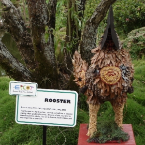 The Chinese Zodiac - Year of the Rooster