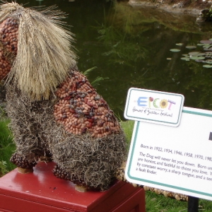 The Chinese Zodiac - Year of the Dog