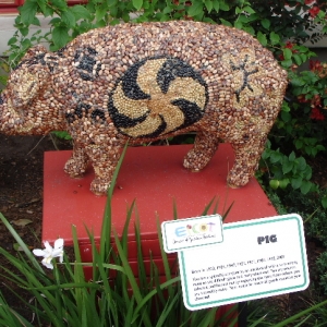 The Chinese Zodiac - Year of the Pig