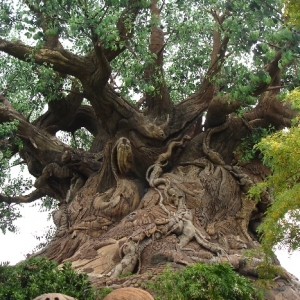 Tree of Life
