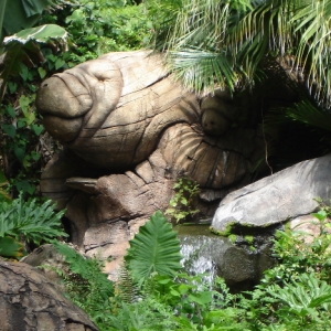 Tree of Life Manatee