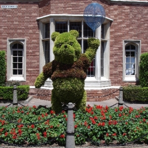 Winnie the Pooh