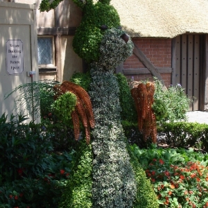 Rabbit
