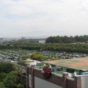 Room at the Disneyland Hotel - Sierra Tower