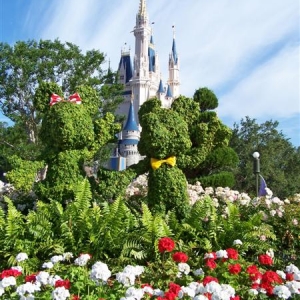 M & M topiary.