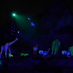 Fantasmic Lion King