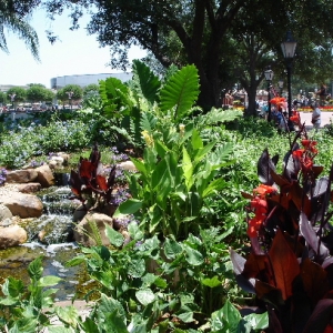 Flower & Garden Festival