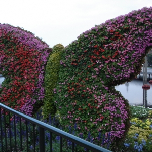 Butterfly topiary