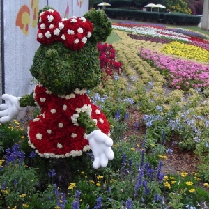 Minnie topiary