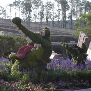 Crocodile topiary