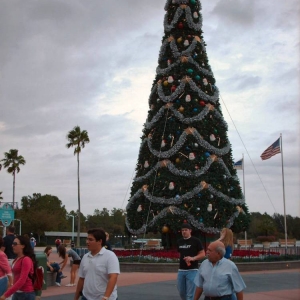 mgm Christmas tree 2006