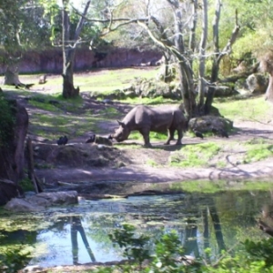 florida_188
