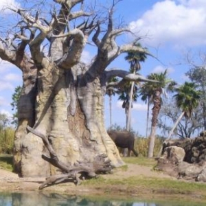 florida_200