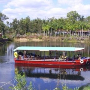 florida_221