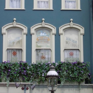 Window....Roy E Disney