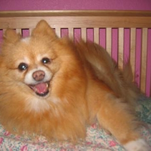 Princess Autumn
