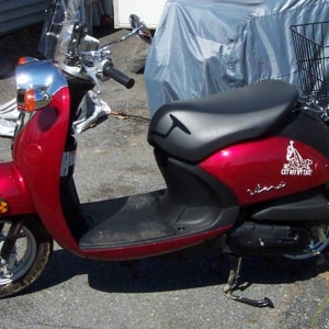 My Hog
