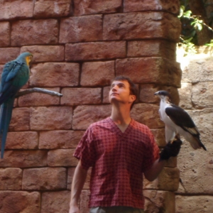 Macaw & Hawk at Flights of Wonder