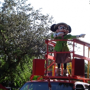 Minnie Mouse - Jammin' Jungle Parade