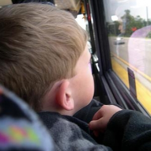 bus